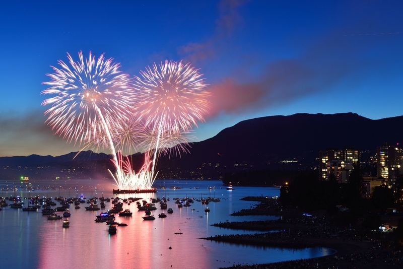 Colourful fireworks lighting up the summer night sky
